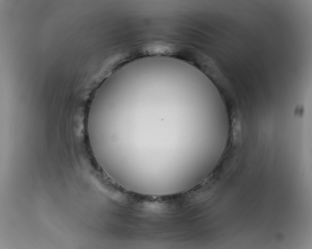X0000113620259200910091538