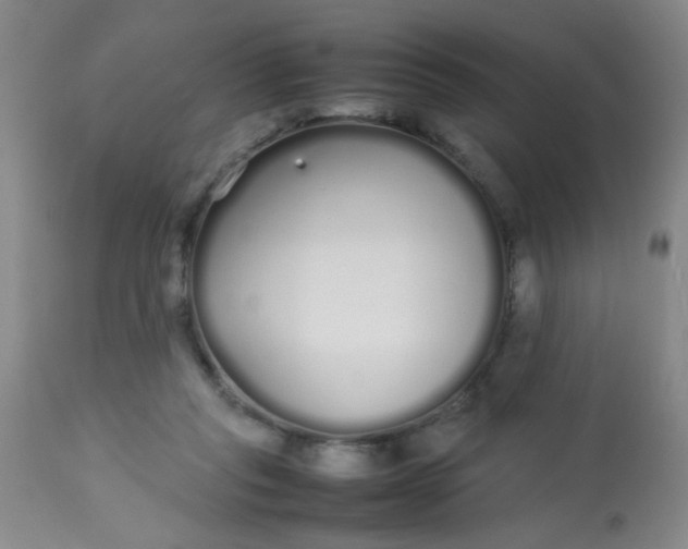X0000113620261200910091538
