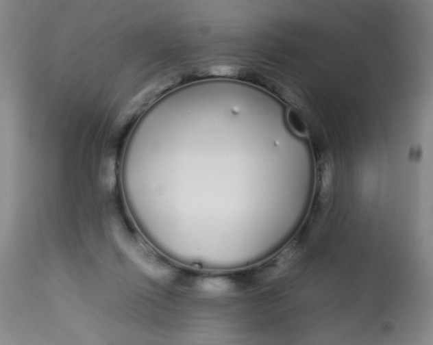 X0000113620262200910091538