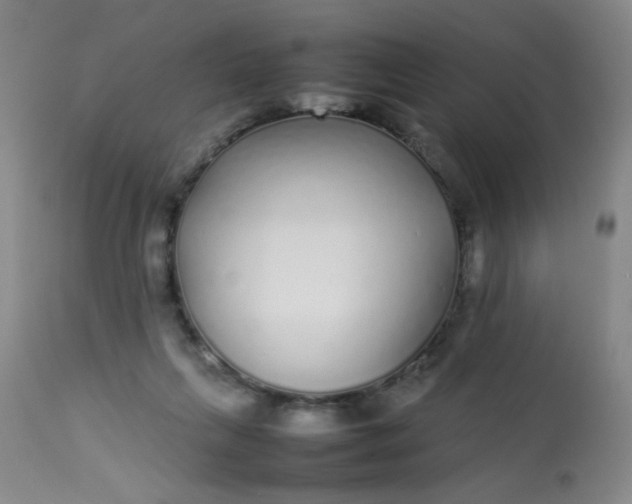 X0000113620263200910091538