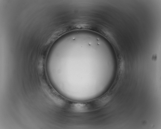 X0000113620265200910091538