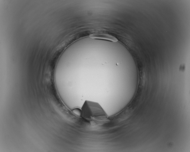 X0000113620266200910091538