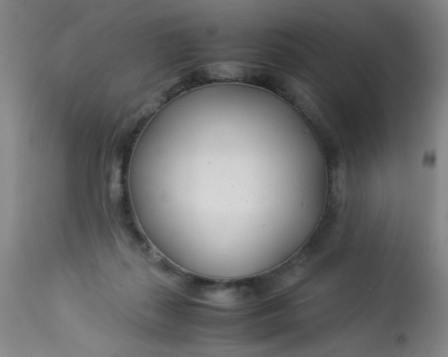 X0000113620267200910091538