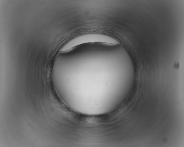 X0000113620268200910091538
