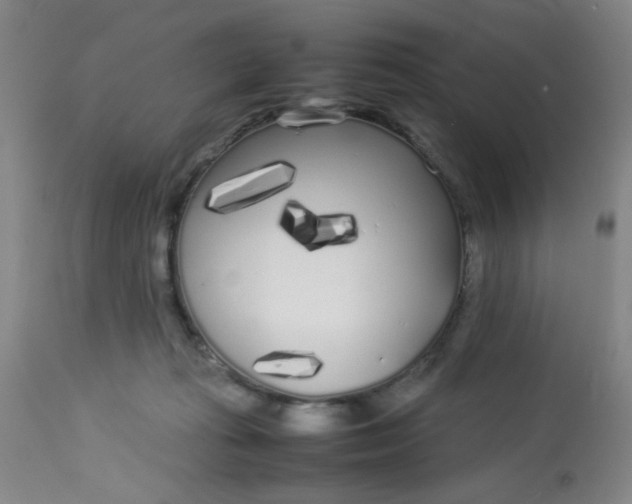X0000113620269200910091538