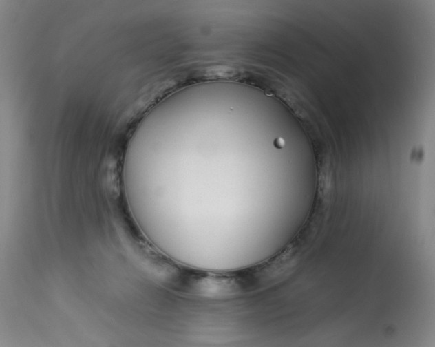 X0000113620270200910091538