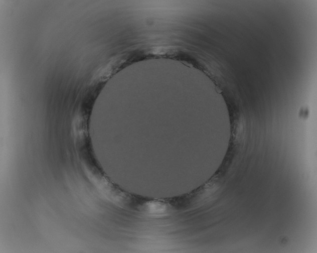 X0000113620272200910091538