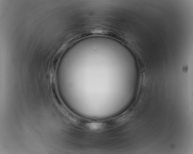 X0000113620273200910091538