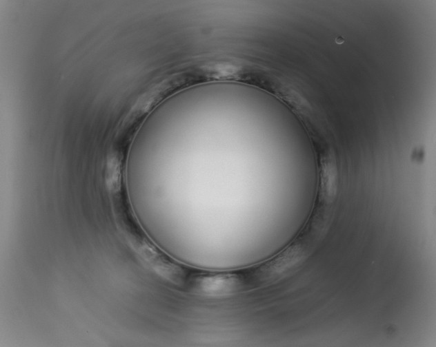 X0000113620274200910091538