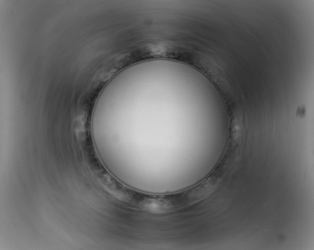 X0000113620275200910091538