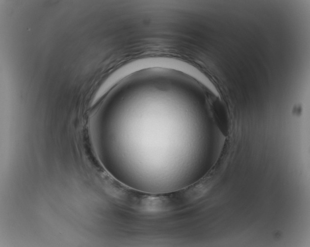 X0000113620277200910091538
