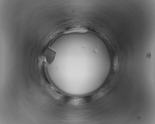 X0000113620278200910091538