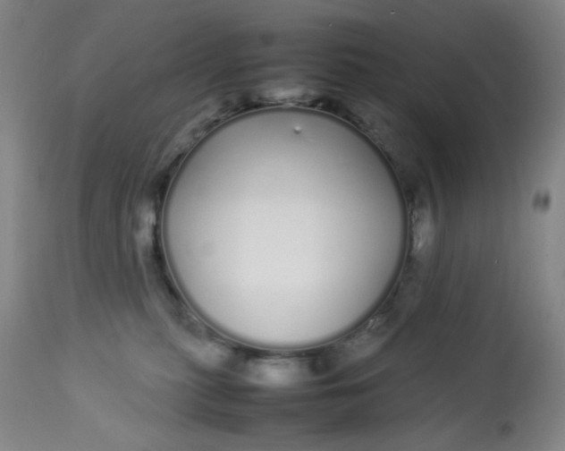 X0000113620279200910091538
