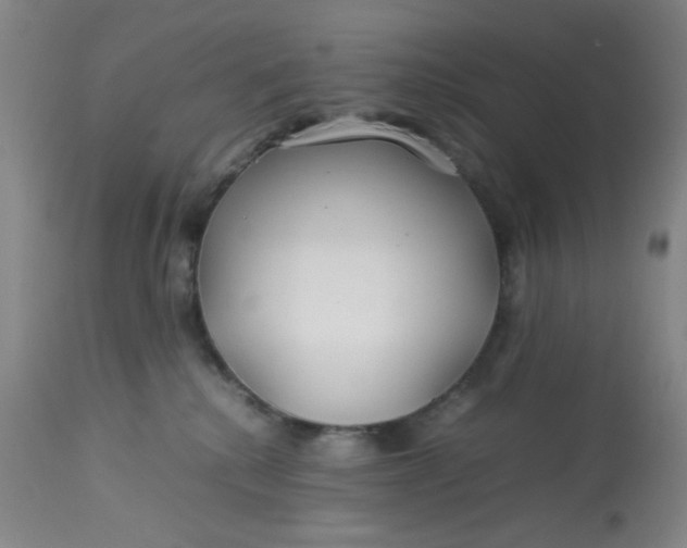 X0000113620280200910091538