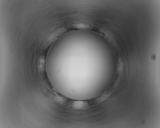 X0000113620281200910091538