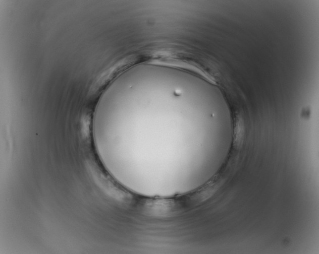 X0000113620282200910091538