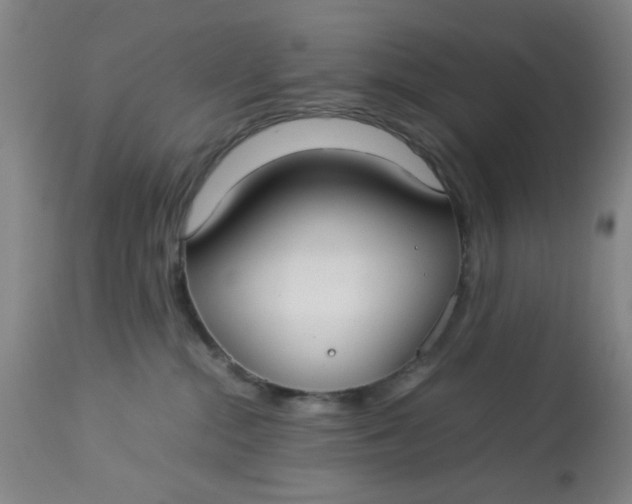 X0000113620284200910091539