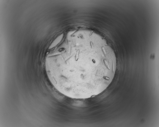 X0000113620285200910091539