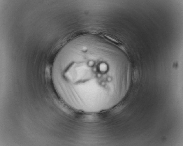 X0000113620286200910091539