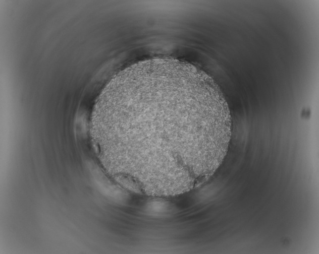 X0000113620287200910091539