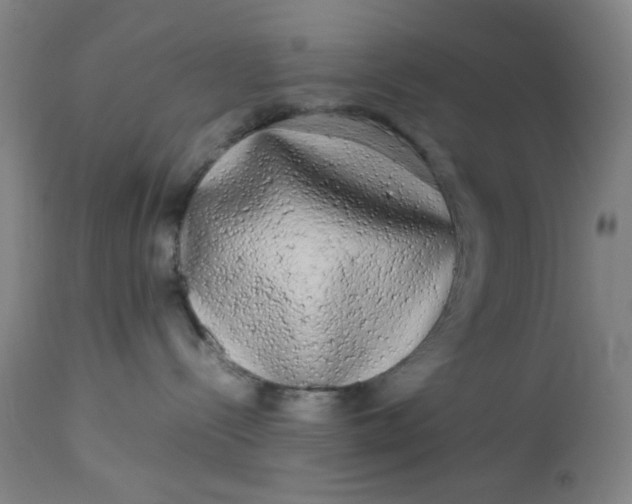 X0000113620288200910091539
