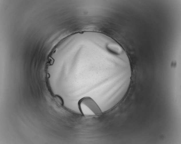X0000113620290200910091538