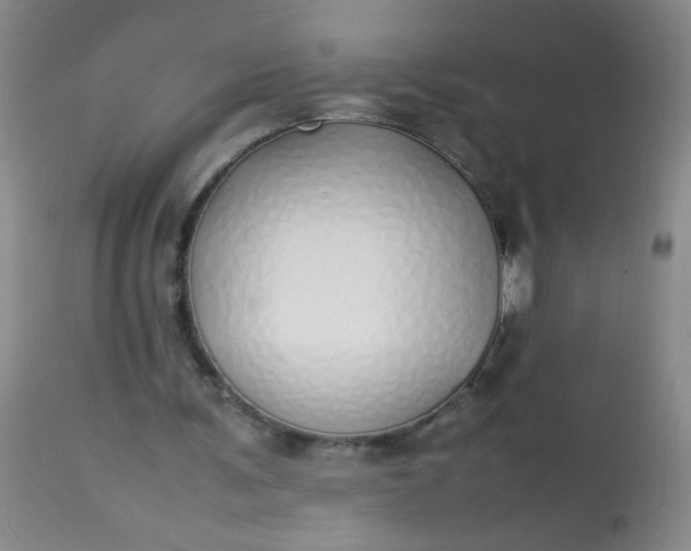 X0000113620291200910091538