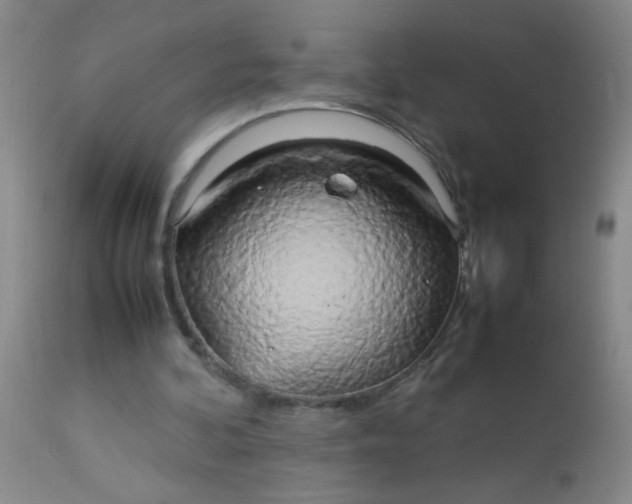 X0000113620292200910091538