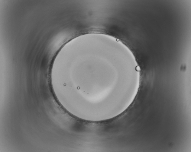 X0000113620293200910091538