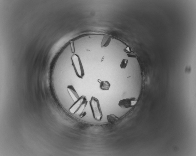 X0000113620294200910091538