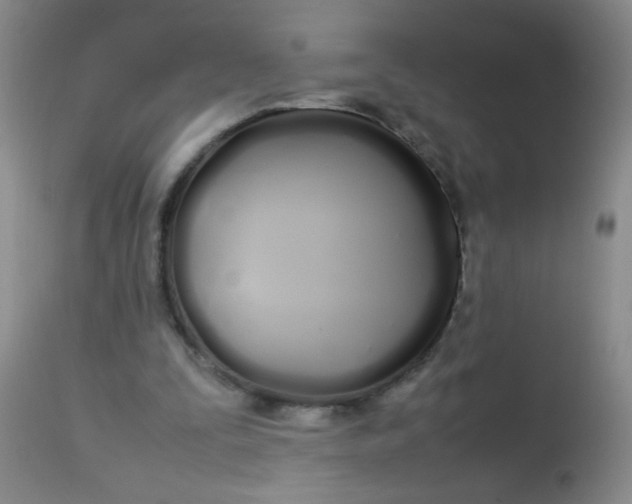 X0000113620295200910091538
