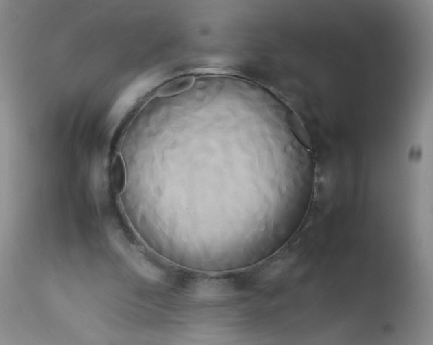 X0000113620296200910091538