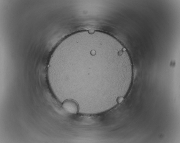 X0000113620297200910091538