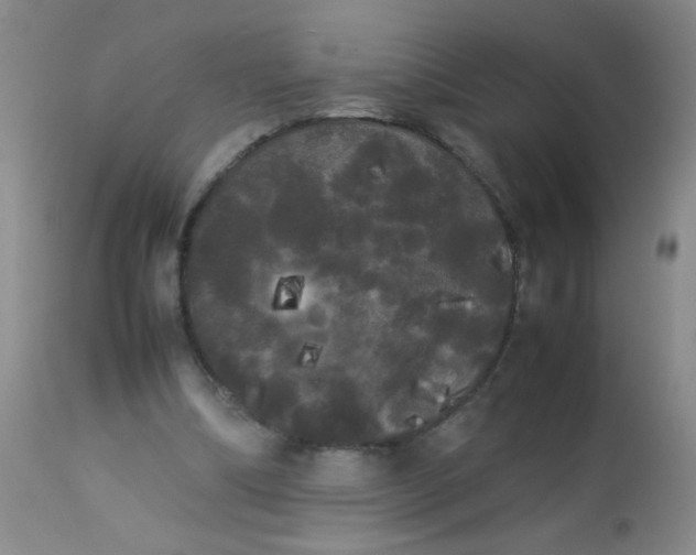 X0000113620298200910091538