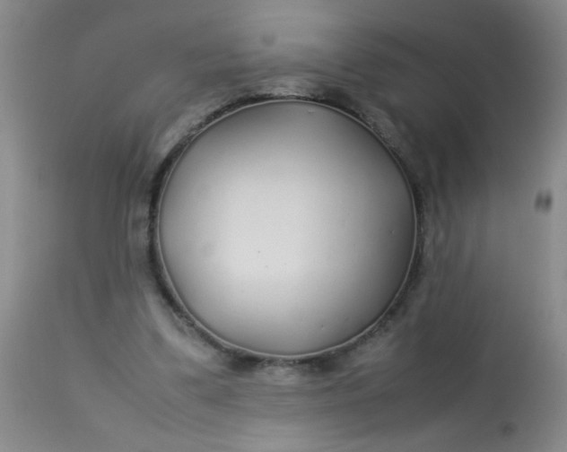 X0000113620299200910091538