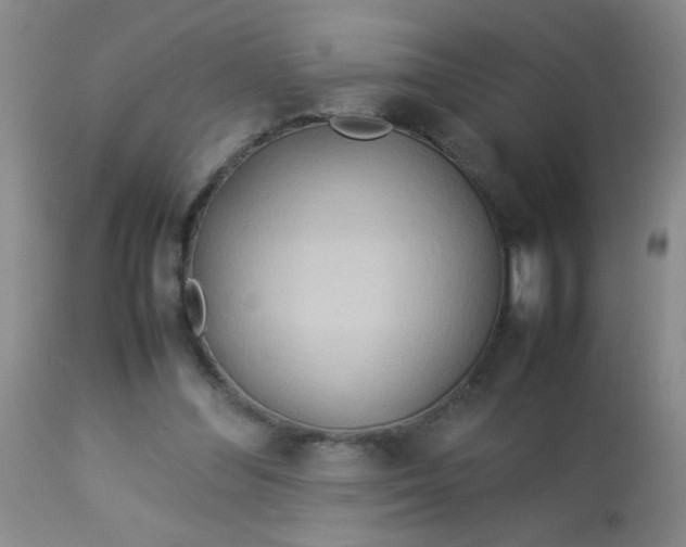 X0000113620300200910091538