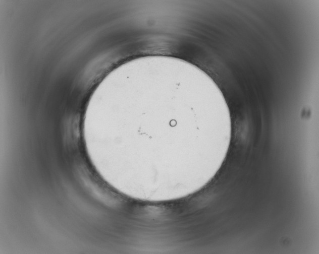 X0000113620302200910091538
