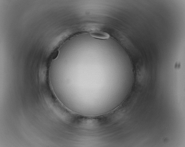 X0000113620304200910091538