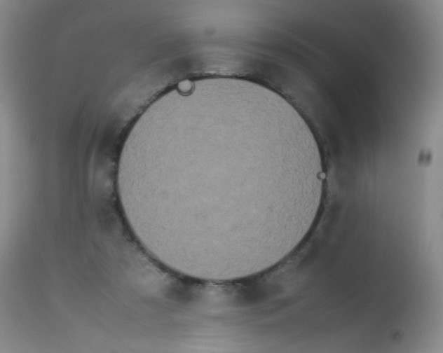 X0000113620305200910091538