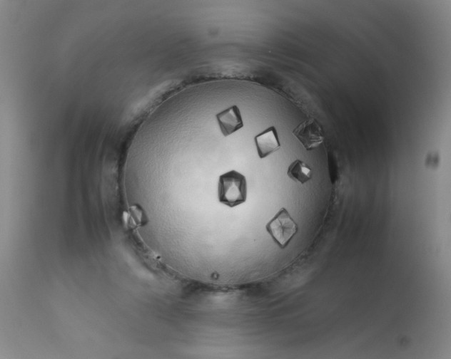 X0000113620306200910091538