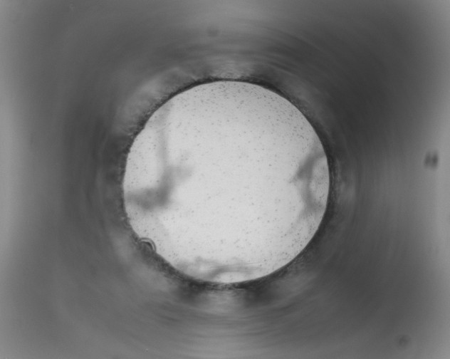 X0000113620307200910091538