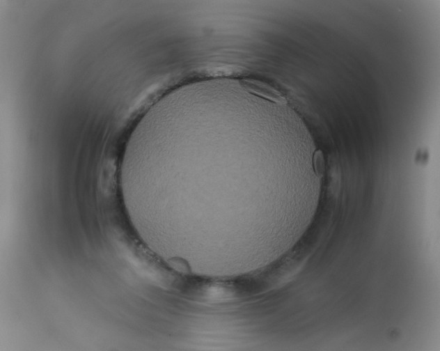 X0000113620308200910091538