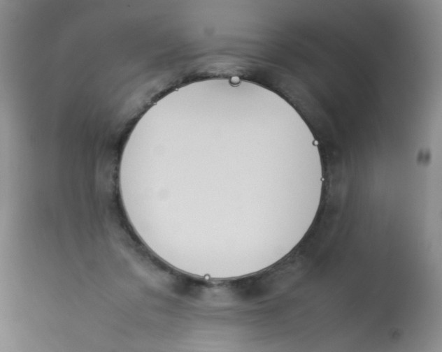 X0000113620309200910091538