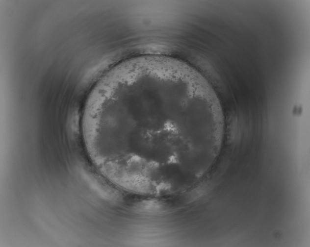 X0000113620310200910091538