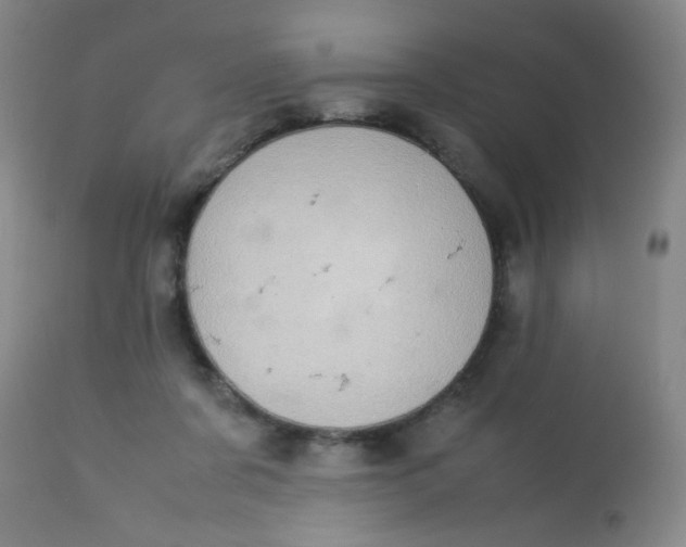 X0000113620311200910091538