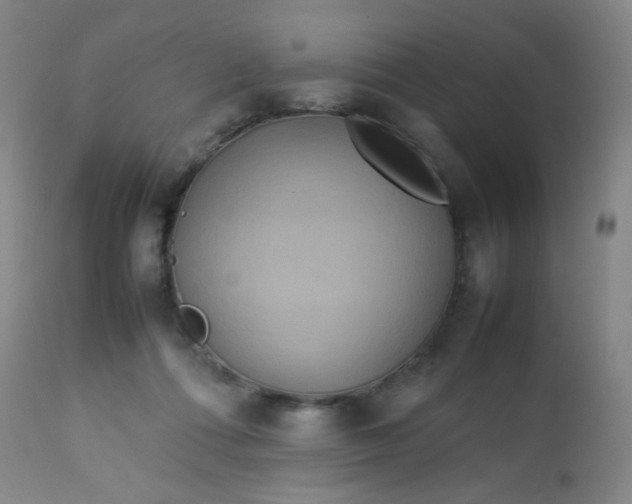 X0000113620312200910091538