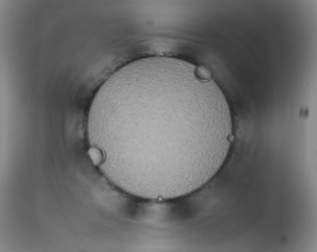 X0000113620313200910091538