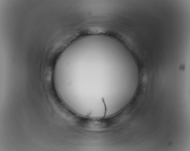 X0000113620315200910091538