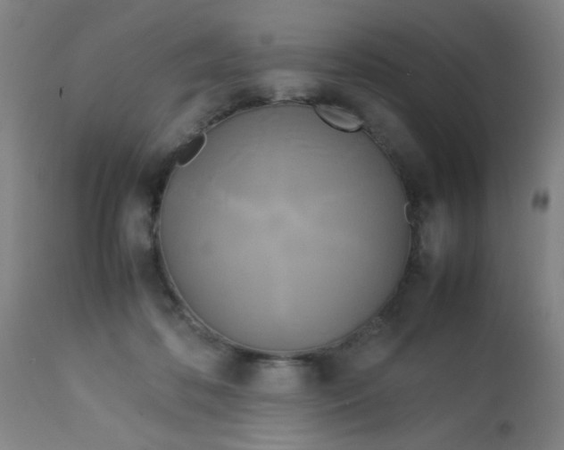 X0000113620316200910091538