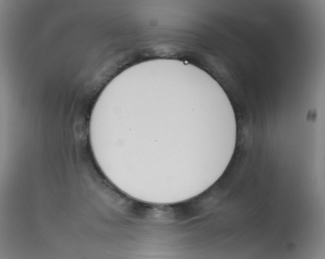 X0000113620317200910091538